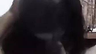 عربيه لبوه على الاخر بتاخد الزب بين بزازها وكسها