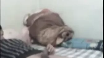 عراقية جسمها ابيض عمها بيمص بزازها وينيكها بالفلوس