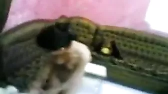 ممحونة خليجية بان عمها يصورها وينيكها بكل الاوضاع