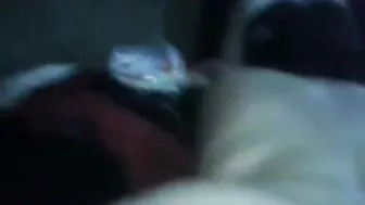 نيك ومص للزب من مصريه محترفه صوتها عالي