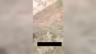 محجبه حبيبها نازل في بزازها تقفيش ومص في الشارع