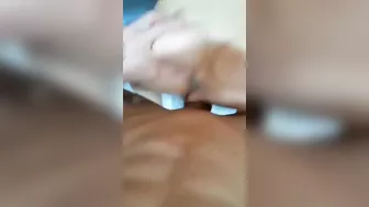فرسه الواد نازل نيك وضرب في طيزها وهي مبسوطه على الاخر
