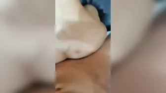 فرسه الواد نازل نيك وضرب في طيزها وهي مبسوطه على الاخر