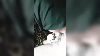 بنوته مصريه محجبه واخده زب اخوها ونازله فيه مص بجنان