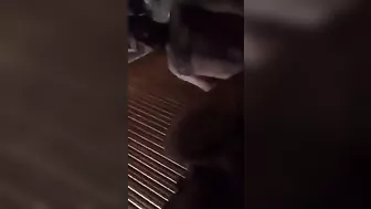 بت لبوه حبيبها واخدها البيت نازله فيها بوس ويفشخ كسها