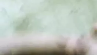 هيجانه على الزب بتمصه زي الخبيره وتاخده في كسها