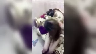 بنت عراقية تتفضح في شقة جارها وتتناك بكل الاوضاع