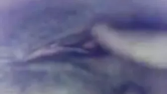 البت بزازها مربربة وحبيبها مش راحم كسها على السرير
