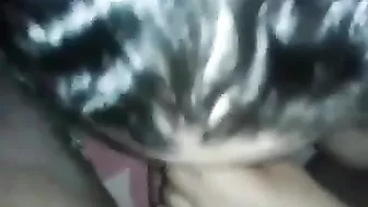 حته بلدي مولعه حبيبها مخليها تمص زبه وبيصورها