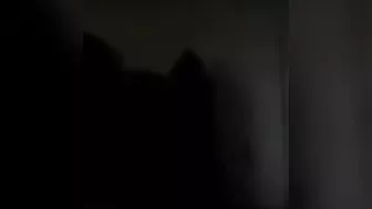 فرسه بتمص زب حبيبها وتحطه بين بزازها الجامده