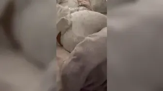 مصرية اخوها الديوث بيقفش طيزها ويصورها وهي نايمه