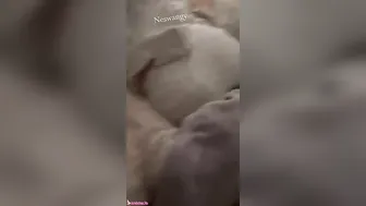 مصرية اخوها الديوث بيقفش طيزها ويصورها وهي نايمه