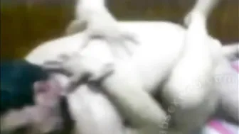 عنتيل مصري واخد عشيقها على السرير وفاشخ كسها نيك