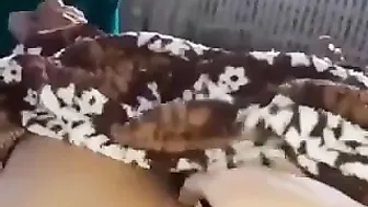 ممحونة نايمه جمب جوزها وبتصور كسها لحبيبها