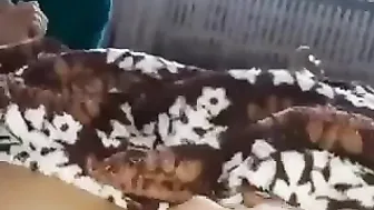 ممحونة نايمه جمب جوزها وبتصور كسها لحبيبها