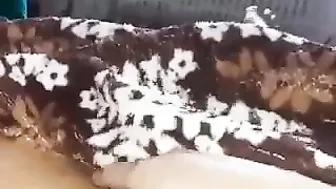 ممحونة نايمه جمب جوزها وبتصور كسها لحبيبها
