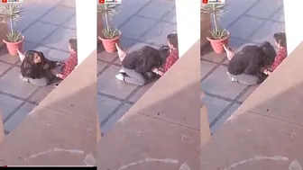 مغربية بتمص زي حبيبها في الجامعة وتتفضح