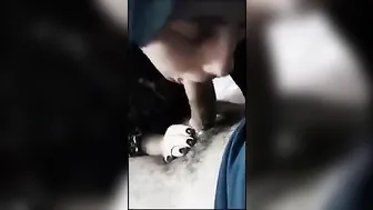 محجبه محترفه في مص الازبار مع حبيبها بتمص وتبلع زبه كامل