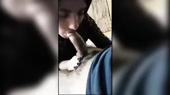 محجبه محترفه في مص الازبار مع حبيبها بتمص وتبلع زبه كامل