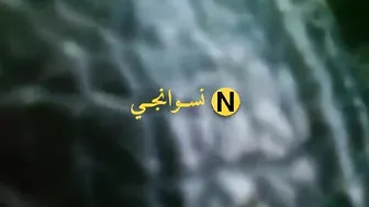 محجبه شرموطه عشيقها بيعلب في كسها ويقفش بزازها ويصورها
