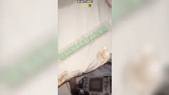 مربربة عراقية تمص الزب وتعرض بزازها الملبن