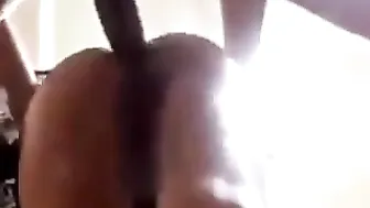 بلدي طيزها طريه الواد واقف وراها شغال نيك ومش راحمها